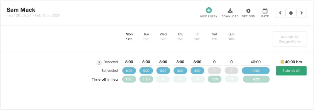 TOIL_Timesheet_Hub_Planner